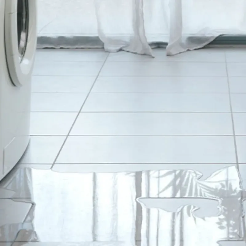 Appliance Leak Cleanup in Woolwich, ME