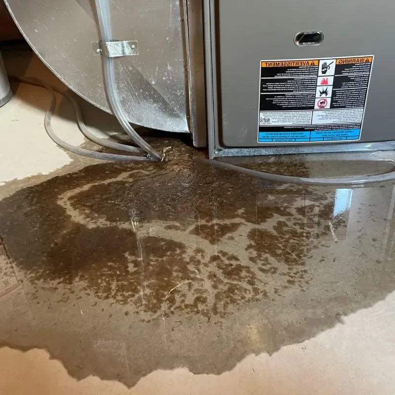 Pipe Burst and Leak Restoration in Woolwich, ME