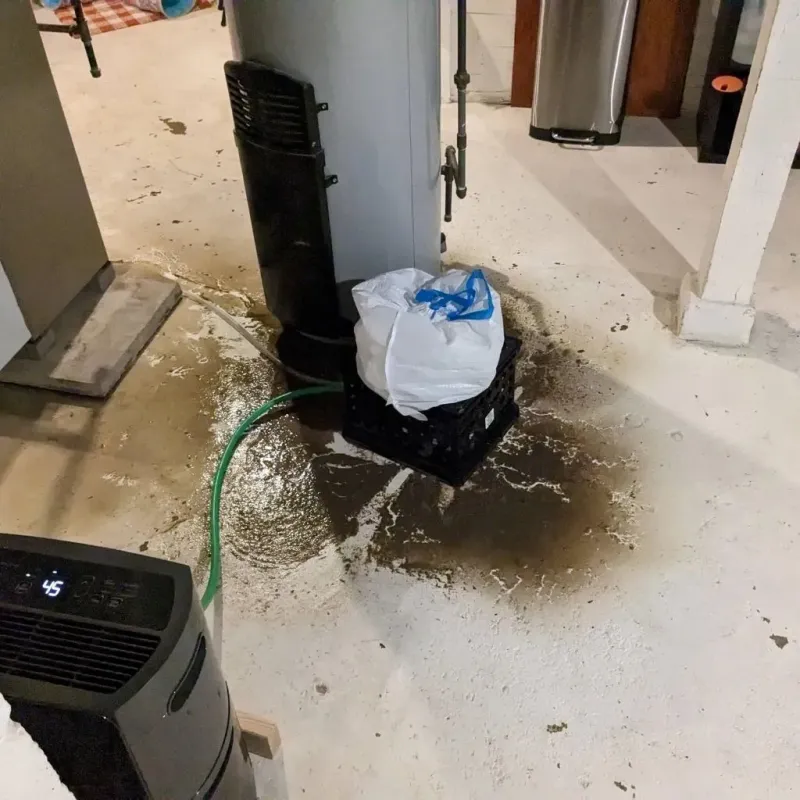 Sewage Backup Cleanup Service in Woolwich, ME